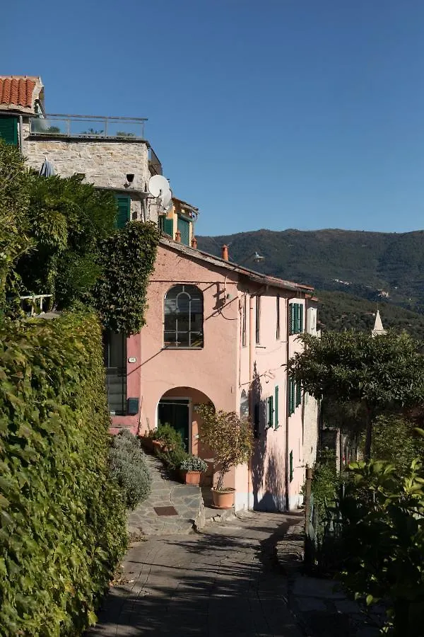 Bellissimi - Liguria - Dolcedo 0*,  Italy